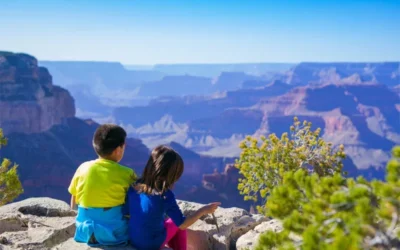Summertime Bliss or Co-Parenting Chaos?